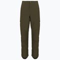 Pantaloni de snowboard pentru bărbați DC Nonchalant olive night 2