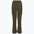 Pantaloni de snowboard pentru bărbați DC Nonchalant olive night 3