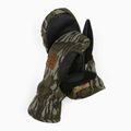 Mănuși de snowboard pentru bărbați DC Tribute mossy oak original bottomland