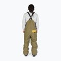 Pantaloni de snowboard pentru bărbați DC Shadow ivy green 2
