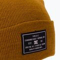 Căciulă de iarnă pentru bărbați DC Label cathay spice 3