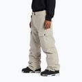 Pantaloni de snowboard pentru bărbați DC Code plaza taupe 3