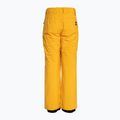 Pantaloni de snowboard pentru copii Quiksilver Estate pentru copii Tineret galben mineral 6