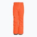 Pantaloni de snowboard pentru copii Quiksilver Estate Youth grenadine pentru copii 2