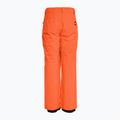 Pantaloni de snowboard pentru copii Quiksilver Estate Youth grenadine pentru copii 3