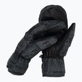 Mănuși de snowboard pentru bărbați DC AW Franchise Mitten negru fragil