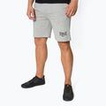 Pantaloni scurți de antrenament pentru bărbați EVERLAST Clifton gri 810521-60