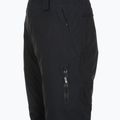 Pantaloni de snowboard pentru femei  ROXY Gore-Tex Stretch Prism Bib true black 8