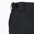 Pantaloni de snowboard pentru femei  ROXY Gore-Tex Stretch Spridle true black 8