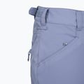 Pantaloni de snowboard pentru femei ROXY Nadia wild wind 10