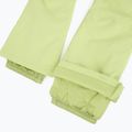 Pantaloni de snowboard pentru femei ROXY Diversion butterfly 10