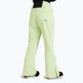 Pantaloni de snowboard pentru femei ROXY Diversion butterfly 3