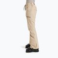 Pantaloni de snowboard pentru femei ROXY Nadia pebble 4