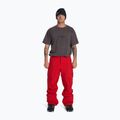 Pantaloni de snowboard pentru bărbați DC Banshee barbados cherry 2