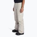 Pantaloni de snowboard pentru femei DC Nonchalant silver lining 4