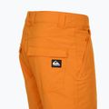 Pantaloni de snowboard pentru bărbați Quiksilver Estate orange pepper 10