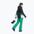 Pantaloni de snowboard pentru femei ROXY Backyard vivid green 4