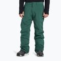 Pantaloni de snowboard pentru copii Quiksilver Estate trekking green