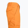 Pantaloni de snowboard pentru copii DC Banshee oriole 6