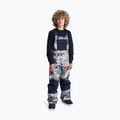 Pantaloni de snowboard pentru copii DC Roadblock Youth Bib outer world black
