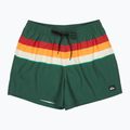 Pantaloni scurți de baie pentru bărbați Quiksilver Everyday Printed Volley 15" forest outside stripe
