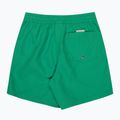 Pantaloni scurți de baie pentru copii Quiksilver Everyday Volley 14" leprechaun 2