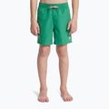 Pantaloni scurți de baie pentru copii Quiksilver Everyday Volley 14" leprechaun 3