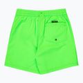 Pantaloni scurți de baie pentru copii Quiksilver Everyday Volley 14" green gecko 2