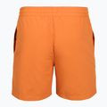 Șorturi de baie pentru bărbați Billabong All Day Layback clay orange 2