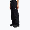 Pantaloni de snowboard pentru femei DC Nonchalant Pant black 3