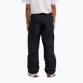 Pantaloni de snowboard pentru bărbați DC Banshee black 3