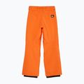 Pantaloni de snowboard pentru copii Quiksilver Estate vermillon 7