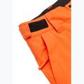 Pantaloni de snowboard pentru copii Quiksilver Estate vermillon 9