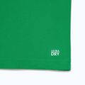 Tricou polo de tenis Lacoste Polo DH2568 fluorine green/sinople 9