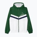 Trening pentru bărbați Lacoste WH4241 green/white/navy blue 7