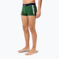 Boxeri pentru bărbați Lacoste 5H1291 3-perechi thyme/navy blue/white 3