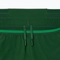 Pantaloni scurți de tenis Lacoste pentru bărbați GH7413 verde/calathea 7