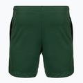 Pantaloni scurți de tenis pentru bărbați Lacoste GH0138 green 2