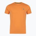 Tricou de tenis pentru bărbați Lacoste TH0003 blossom/angie
