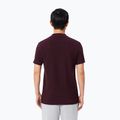 Tricou polo pentru bărbați Lacoste Polo DH5522 oxalis 3