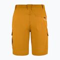Pantaloni scurți de trekking pentru bărbați Aulp Banco kombucha 4