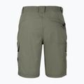 Pantaloni scurți de trekking pentru bărbați Aulp Banco lichen 4