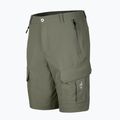 Pantaloni scurți de trekking pentru bărbați Aulp Banco lichen 5