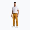 Pantaloni de trekking pentru bărbați Aulp Brady kombucha 2