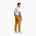 Pantaloni de trekking pentru bărbați Aulp Brady kombucha 3