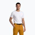 Pantaloni de trekking pentru bărbați Aulp Brady kombucha 4