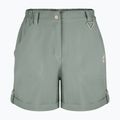 Pantaloni scurți de trekking pentru femei Aulp Derby lichen 3