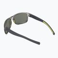 Ochelari de soare Julbo Renegade Ractiv 2-3 tranlucide brilliant 2