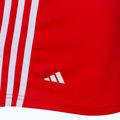 adidas Boxing Shorts roșu ADIBTS02 3