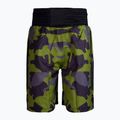 Pantaloni scurți de box adidas Multiboxing verde ADISMB03